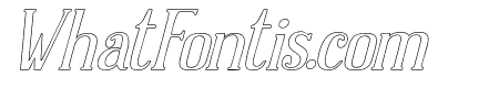 DolphinsOutline-LightItalic