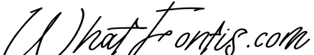 Tisushine Monoline Bold Italic