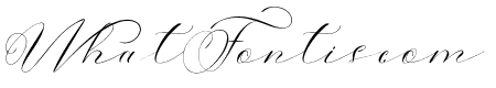 Samelia script font