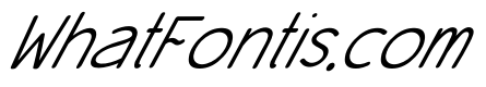 Mattilda Italic