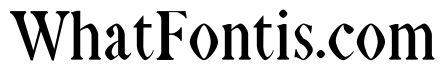 NN Tropical Serif