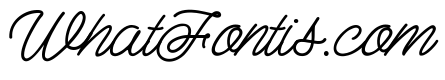 Adam Script