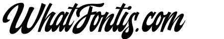 Backstranger Thin Italic