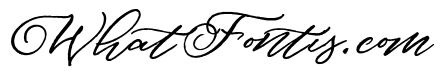 Douglas-Palmeira Script