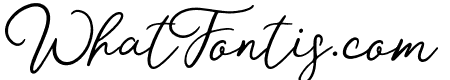 Mon Amour Script