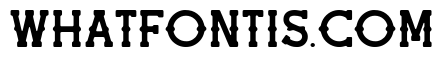 Latte Rounded
