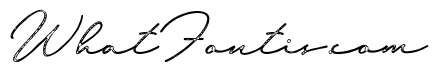 Marison Brieny Vintage