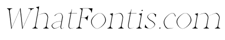 Aara Thin Italic