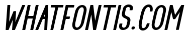 PRUISTINSANSIt-Italic