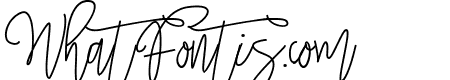 Tropical Monoline Script