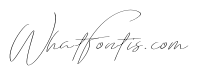 Emmylou Signature ExtraLight X Sl
