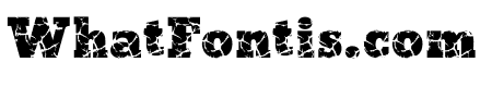 iCrack Regular