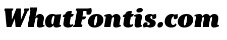 Kopius Black Italic