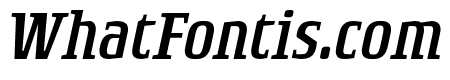 RogueSerif Light Italic