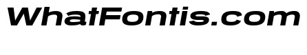 Tussilago Heavy Italic