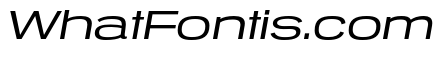 Tussilago Book Italic