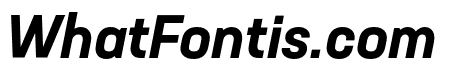 Neusa Next Std Bold Italic