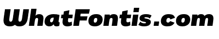 Remora Sans W4 Black Italic