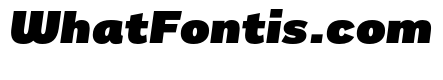 Remora Sans W3 Ultra Italic