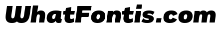 Remora Sans W3 Black Italic