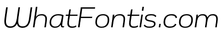 Remora Sans W2 Light Italic