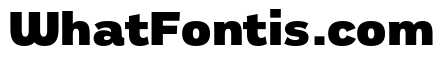 Remora Sans W2 Black