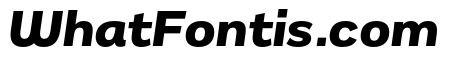Remora Sans W1 Bold Italic