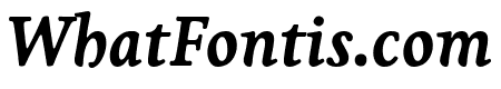 Livory Bold Italic