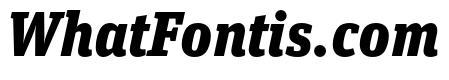 Unit Slab Pro Black Italic