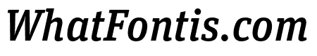 Unit Slab Pro Medium Italic