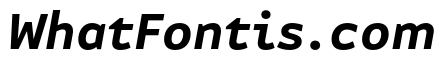 Attribute Text Bold Italic