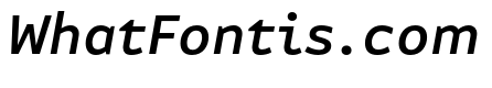 Attribute Text Medium Italic