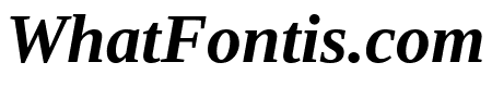 Liberation Serif Bold Italic
