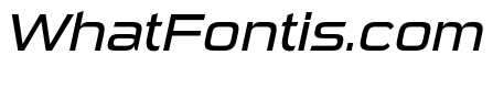 Sui Generis Book Italic