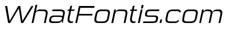 Sui Generis Light Italic