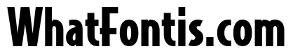Bodega Sans Black