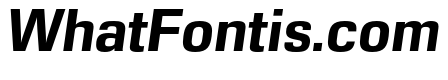 DDT Bold Italic