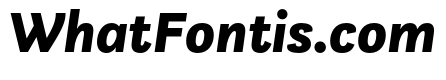 Questa Sans Black Italic