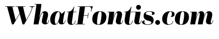Questa Grande Black Italic