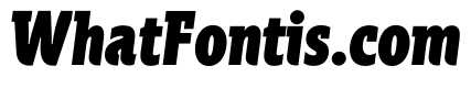 Spartacus Black Italic