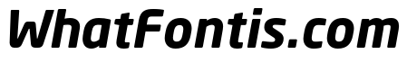 Neo Sans W1G Bold Italic