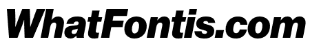 Neue Haas Grotesk Display Pro 96 Black Italic