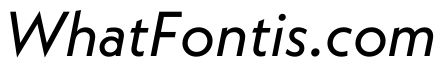 Neue Kabel Book Italic