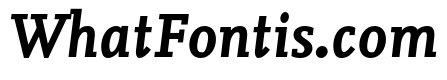 Nexus Mix Pro Bold Italic