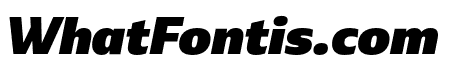 Ebony Black Italic