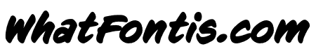 CCSignLanguage Bold Italic