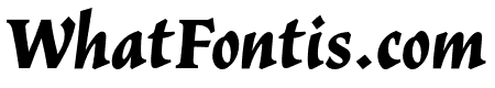Vatican Bold Italic