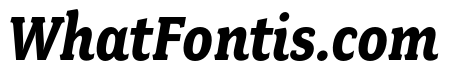 Fairplex Narrow OT Bold Italic