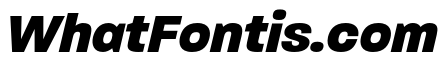 Paralucent Text Bold Italic