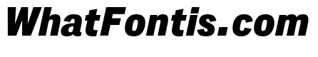 Lorimer No 2 Black Italic